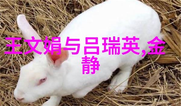 陈 焕